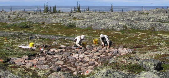 Excavation site